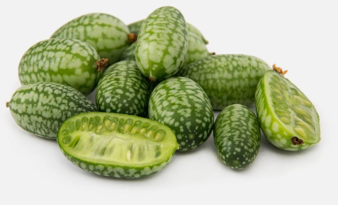 Cucamelons Plants Live Tiny Watermelon Vine Cucamelon Fruit Plant, 2 Plants in 4" Pot