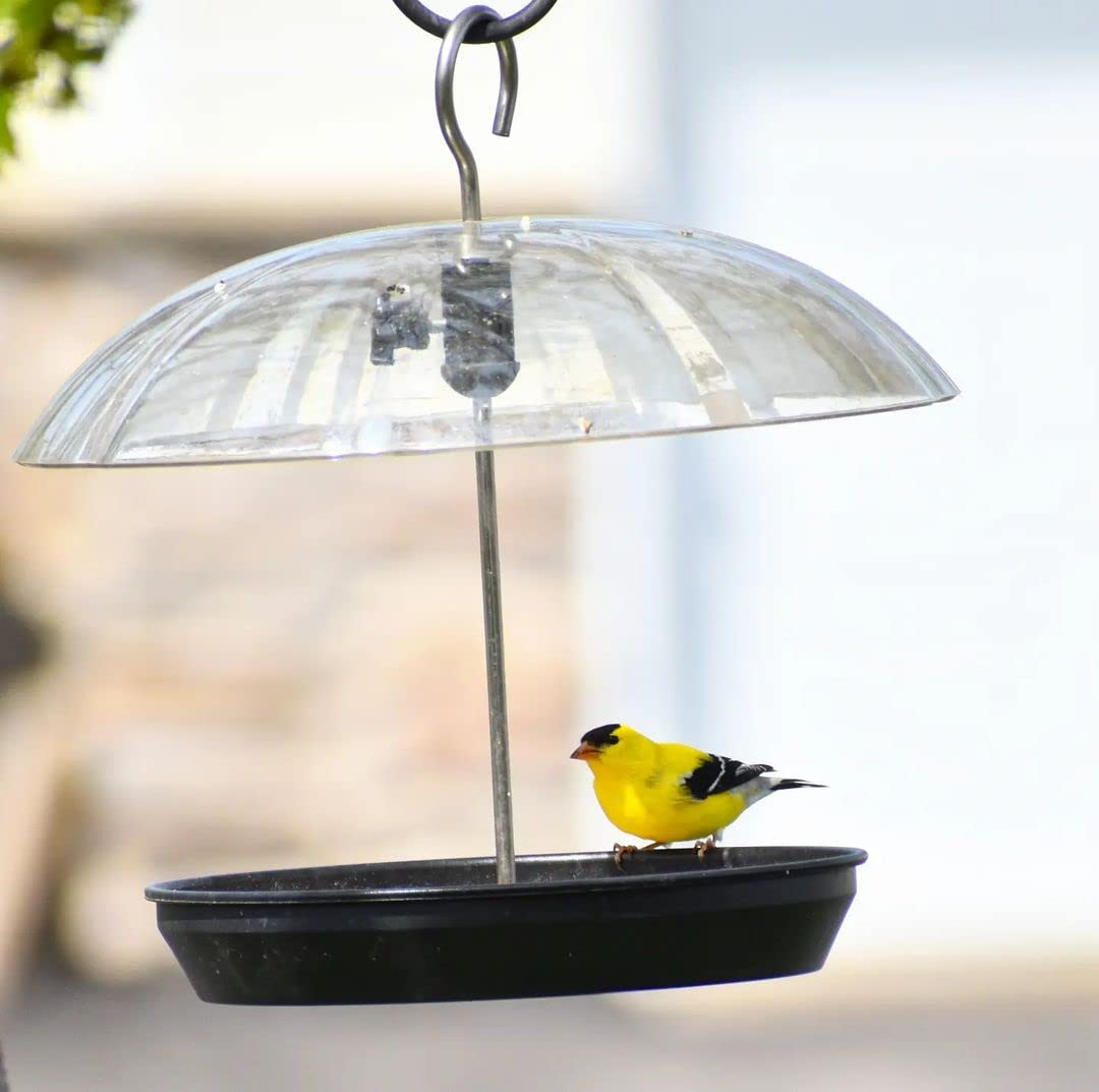 Kingsyard Adjustable Platform Bird Feeder for Outdoors, Hanging Metal Seed Tray with Clear Rain Proof Dome, Large Capacity for Wild Bluebird Cardinal Dove Mealworm, Black