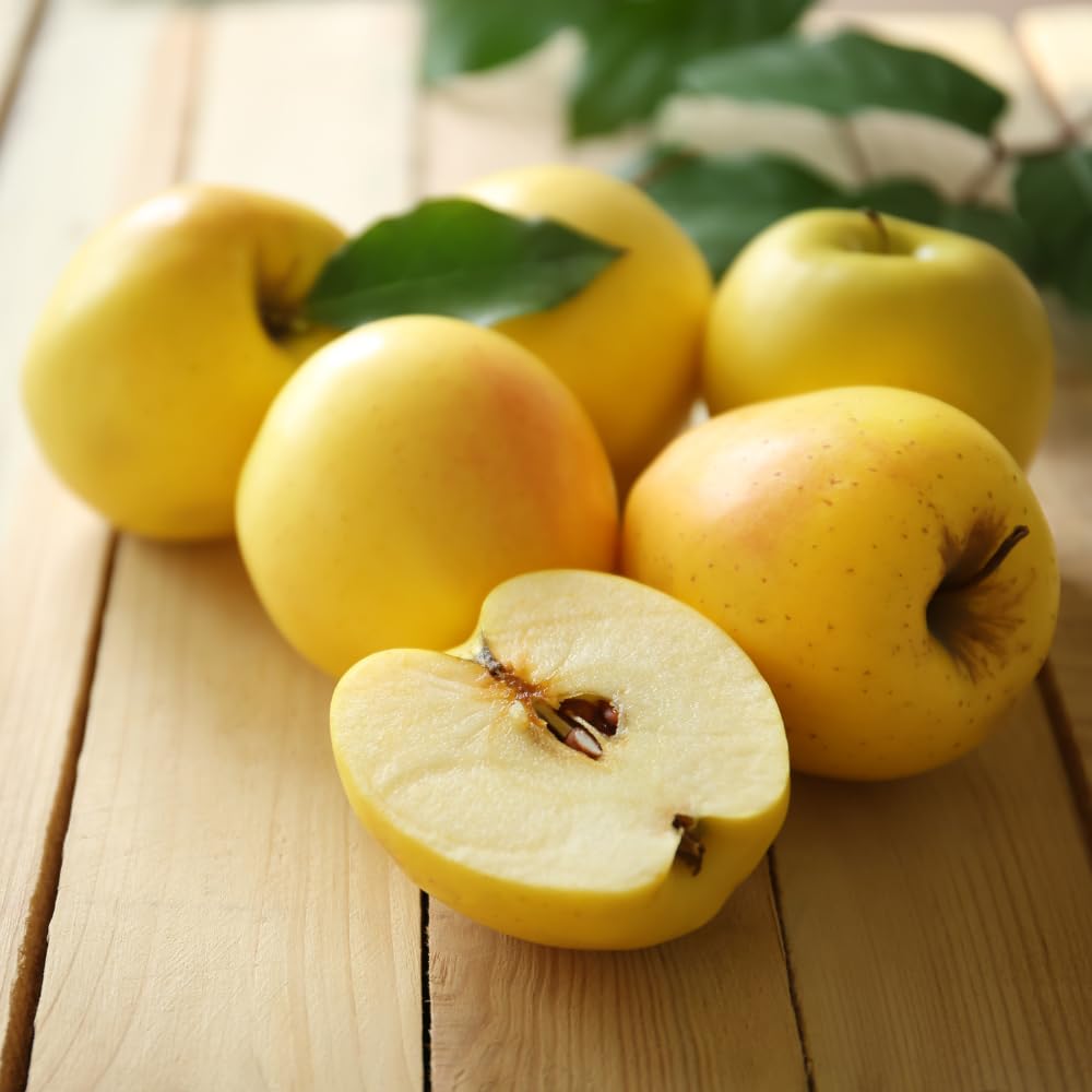 Apple Trees Live Plant, Golden Delicious Apple Tree in 3 Gallon Pot, Sweet Fruit Tree from 2 to 3 Feet Tall, Ready for Outdoor Garden, No Ship to CA