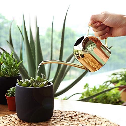 YISSSN Small Watering Can for Indoor Plants, 15oz/450ml Stainless Steel Long Spout Watering Can for Succulents, Herbs (Gold)