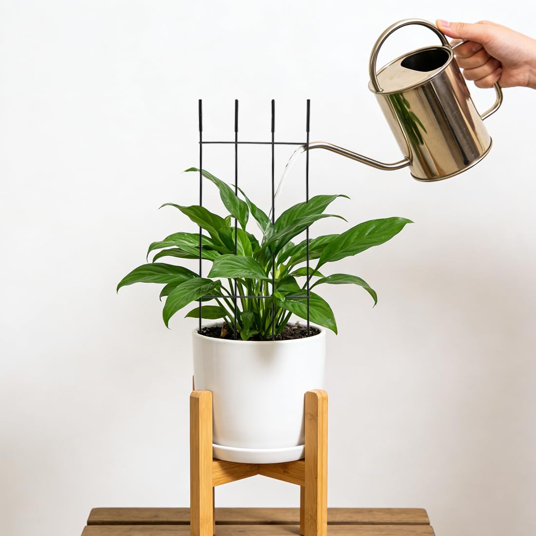 32.6inch Plant Trellis for Pot Climbing Plants Indoors & Outdoor, Garden Trellis for Potted Plants, Rust-Proof Metal Sturdy Yet Gentle Climbing Stakes Support for Ivy Pothos Hoya Monstera (6pcs)