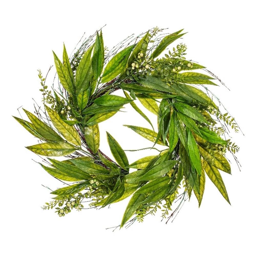 Vickerman 24" Artificial Green Willow Wreath - Faux Wreath for Door - Decorative and Elegant Wreath - Features Willow Leaves, Twigs, Light Green Berries - Home Decor