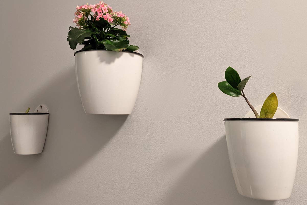 DEELF OUTLET 6 Packs 5" Plastic Self Watering Pots Wall Hanging Planters Wall Mounted Wicking Flower Pots for Indoor and Outdoor African Violet, Ocean Spider Plant, Orchid, White