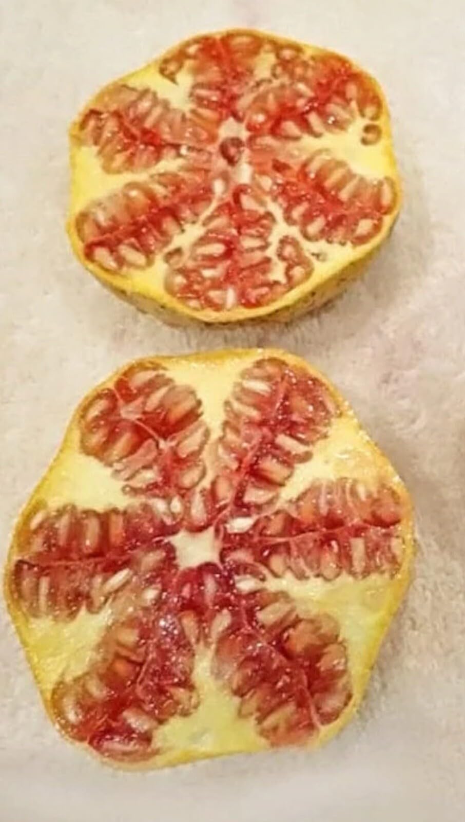 Live Plant - Rare Azadi Pomegranate Tree โ Sweet, Productive, & Easy to Grow!