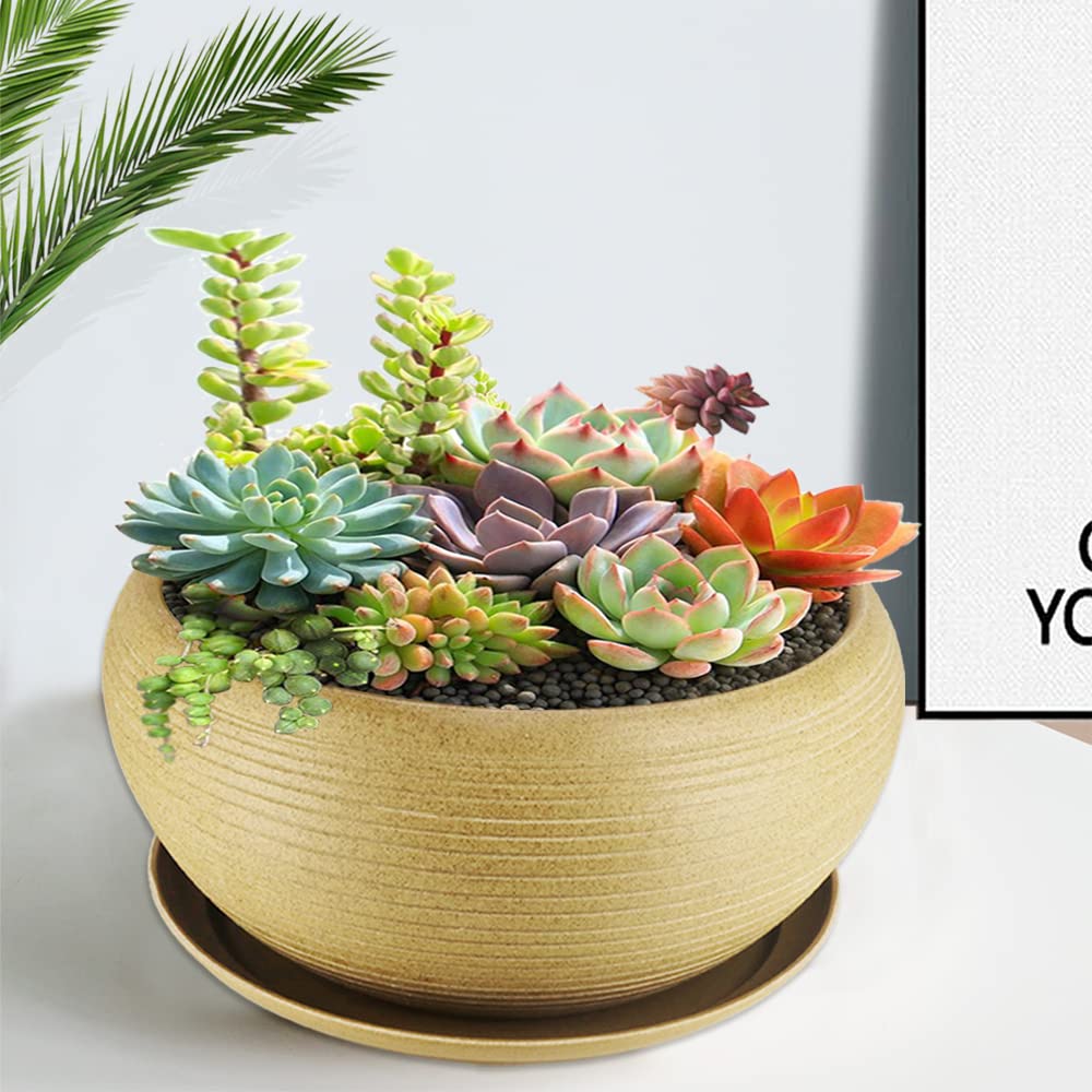 MUZHI 9.5” Round Large Ceramic Bonsai Bowl Planter,Clay Succulent Plant Pot Container with Saucer