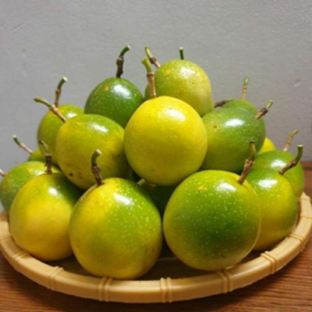 Passion Fruit Tree Live Plant, Passionfruit Vine Plant, 5 to 7 Inc in Height, Passionfruit Plant Live Planting (Yellow)
