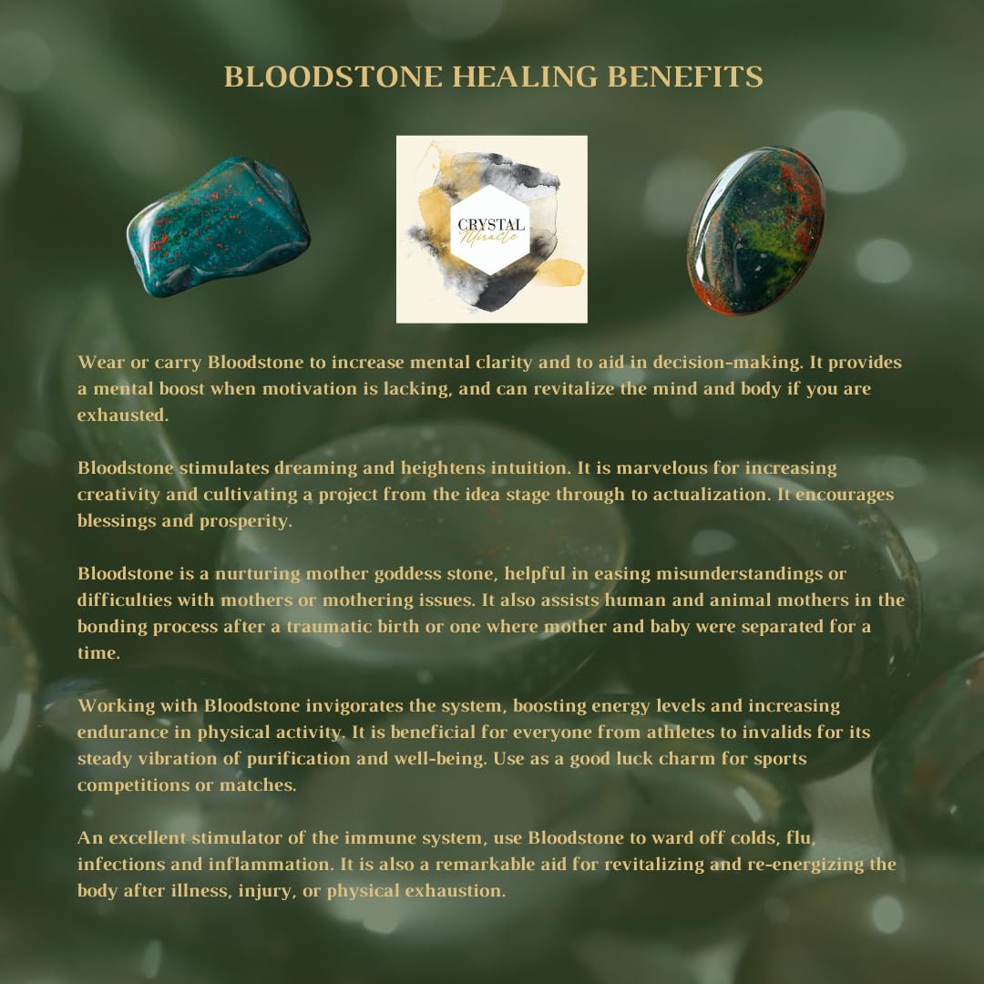 crystalmiracle Bloodstone Worry Stone Positive Energy Crystal Healing Thumb Stone for Metaphysical Powerful Health Wealth Reiki Protective Meditation Feng Shui Gifts for Men Women