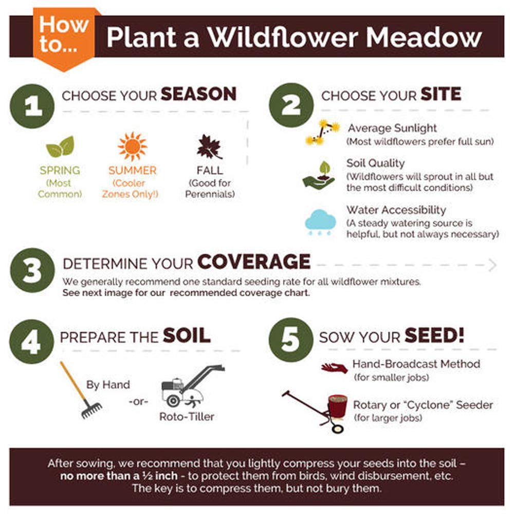 UtopiaSeeds Blue Wildflower Seed Mix - Attracts Hummingbirds and Butterflies - Easy to Grow