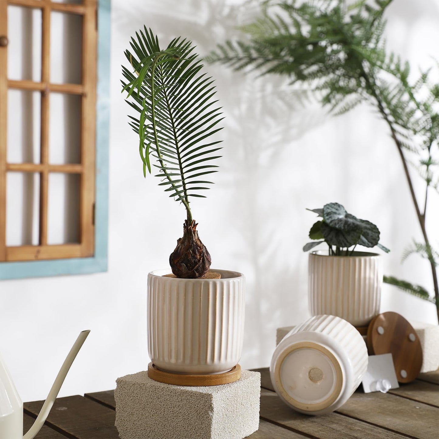 BABALIU 4 Inch Ceramic Plant Pots with Drainage Holes and Trays, Cylinder Vertical Stripes Small Flower Planter Pot with Bamboo Saucers for Indoor Plants, Succulent, Snake Plants, Cactus, Set of 4