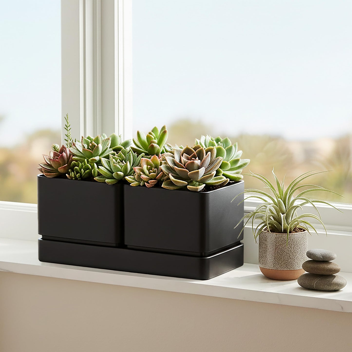 D'vine Dev Indoor Herb Garden Planter Set, Plastic Windowsill Plant Pots with Drainage and Saucer, Indoor Succulent Cactus Vegetable Pot for Balcony, Office, Garden, Black, Set of 1, 76-Q-B-1