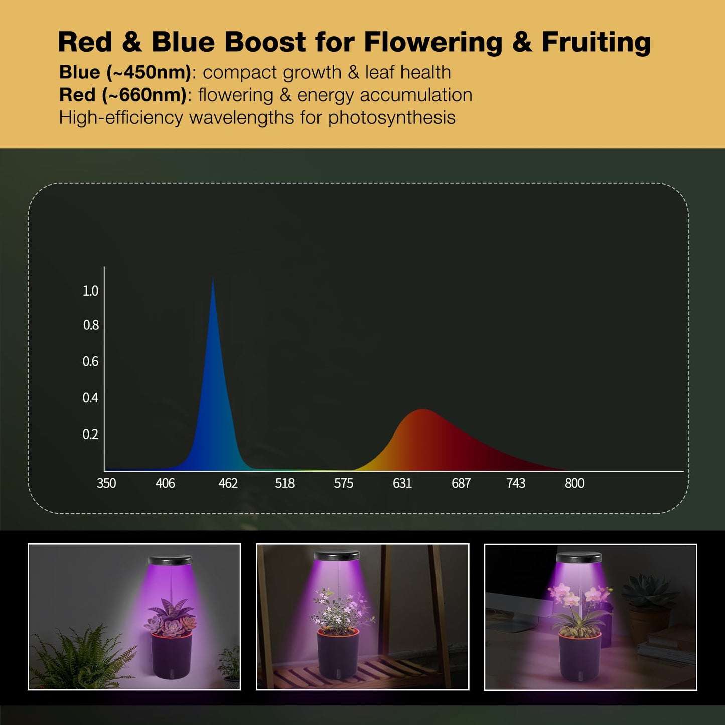 Raygrov Self-Watering Planter with Grow Light β Cute Desk Plant Pot for Office, Bedroom & Window β No Green Thumb Needed, 2-in-1 Wall + Desktop, USB Powered (5W LED, White)