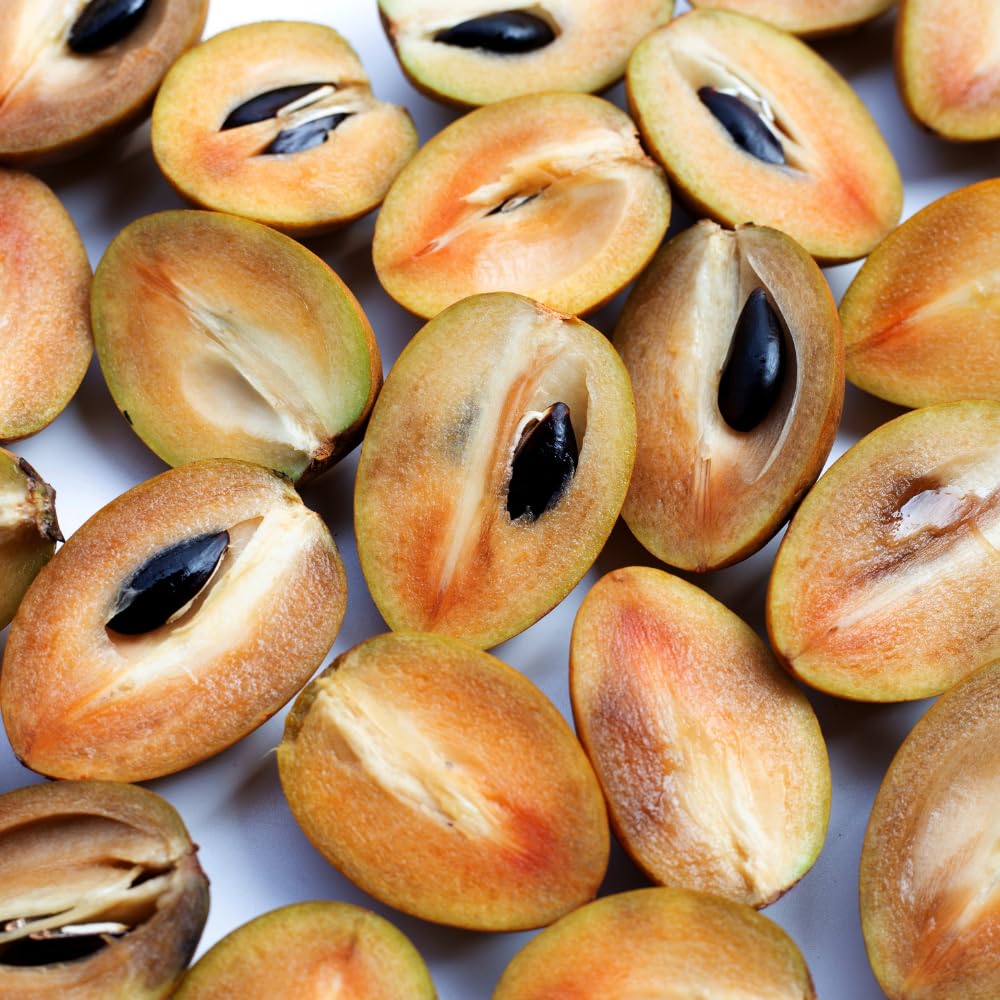 Sapodilla Tree Live Plant in 1 Gallon Pot, Sweet and Edible Fruit for Home Gardens, Sapote Seedlings from 2 to 3 Feet Tall