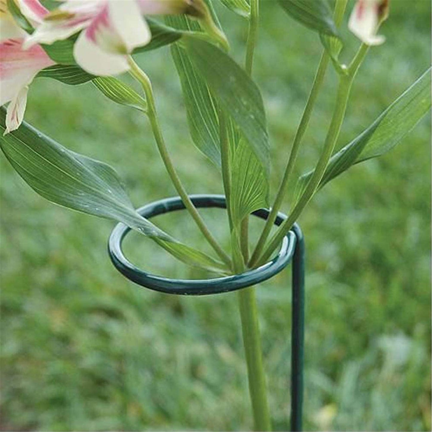 Tingyuan 24 Inches Single Stem Plant Support Stakes Steel Garden Stakes Plant Atem Support, Pack of 20