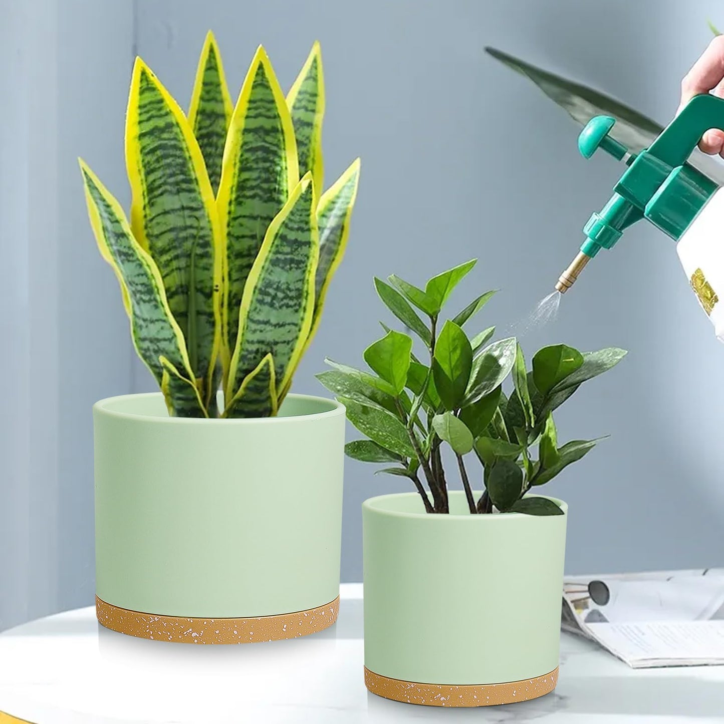 DGJDLWHX Large Plant Pots Set of 3 – 8", 9", 10" Indoor Flower Pots with Drainage Holes and Saucers, Big Planters for Monstera, Fiddle Leaf Fig, Snake Plant – 5 Colors