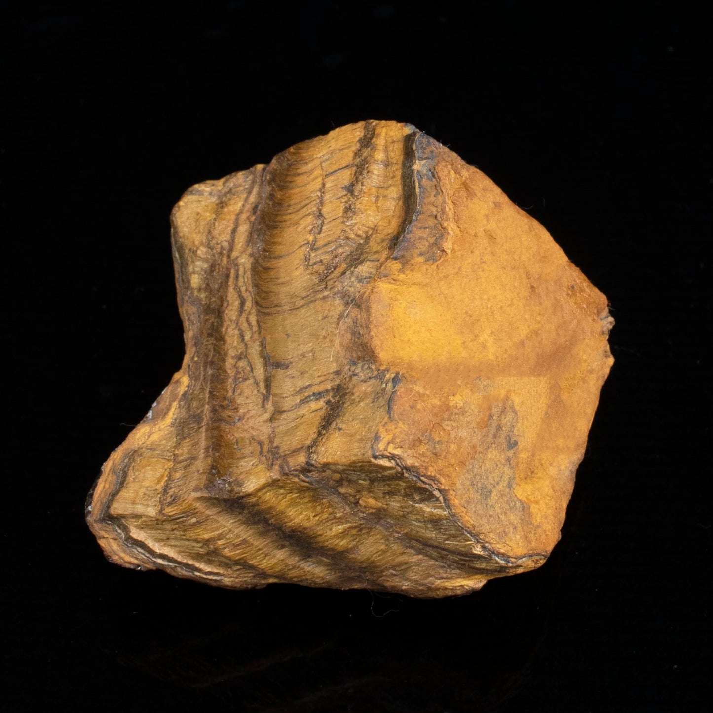 "300+ Carats, 1 Pc Tiger Eye Rock Rough Stone 4050 mm Raw Crystals Rock Crystals and Healing Stones Rough Gemstones Rock Collection for Beginners Used as Crystal Therapy, Meditation, Reiki"