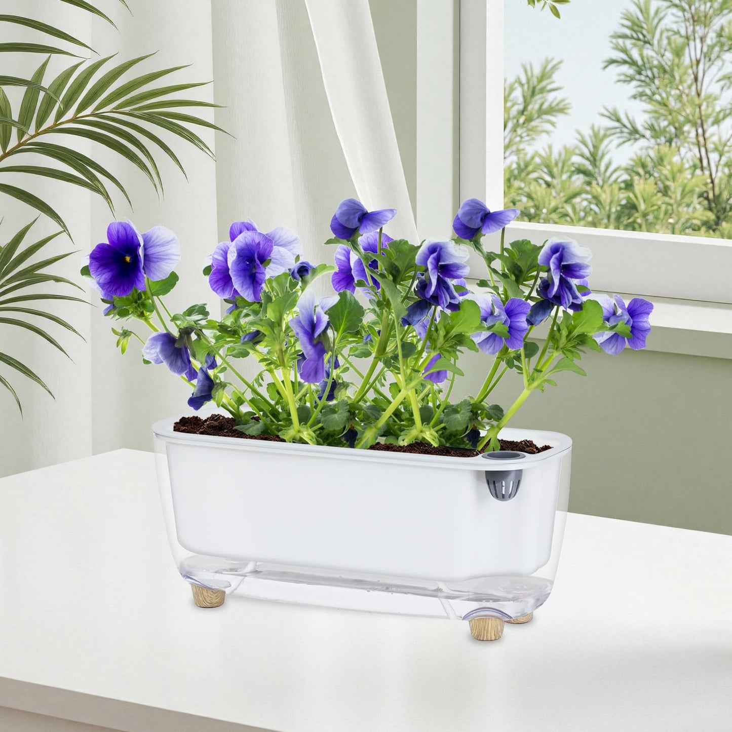 Oliz Self Watering Planter with Coco Coir Pellets, 11.8 Inch Plastic Rectangular Windowsill Plant Pot with Drainage Holes, High Clear Modern Decorative Flower Pot for Indoor Plants, African Violets