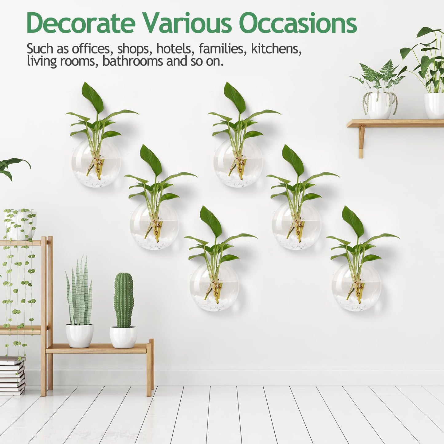 Layhit 8 Pcs Wall Hanging Planters Terrarium Glass Propagation Wall Mounted Planter Oblate Flower Vase Clear Glass Plant Containers for Hydroponics Plants Home Office Garden Decor