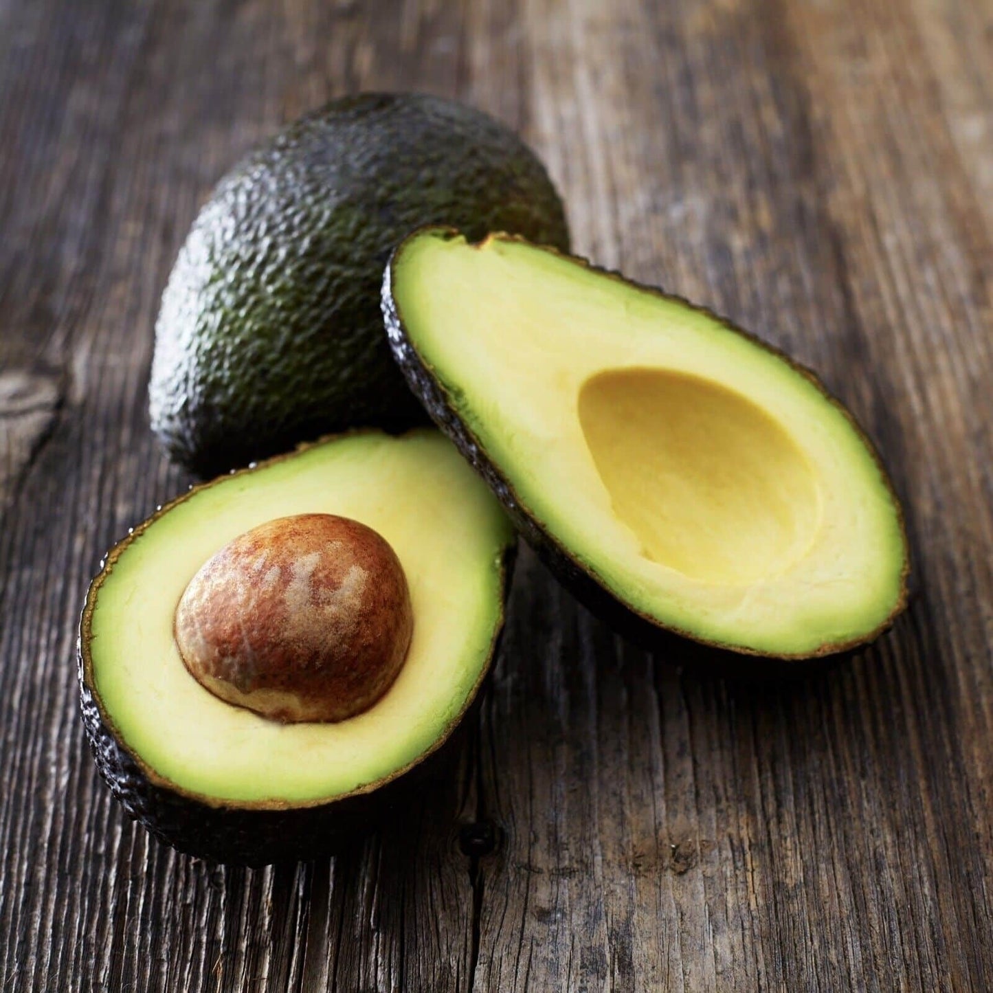 Live Plant - Avocado HASS (Persea Americana) Tropical Live Big Fruit Tree 12β-24β