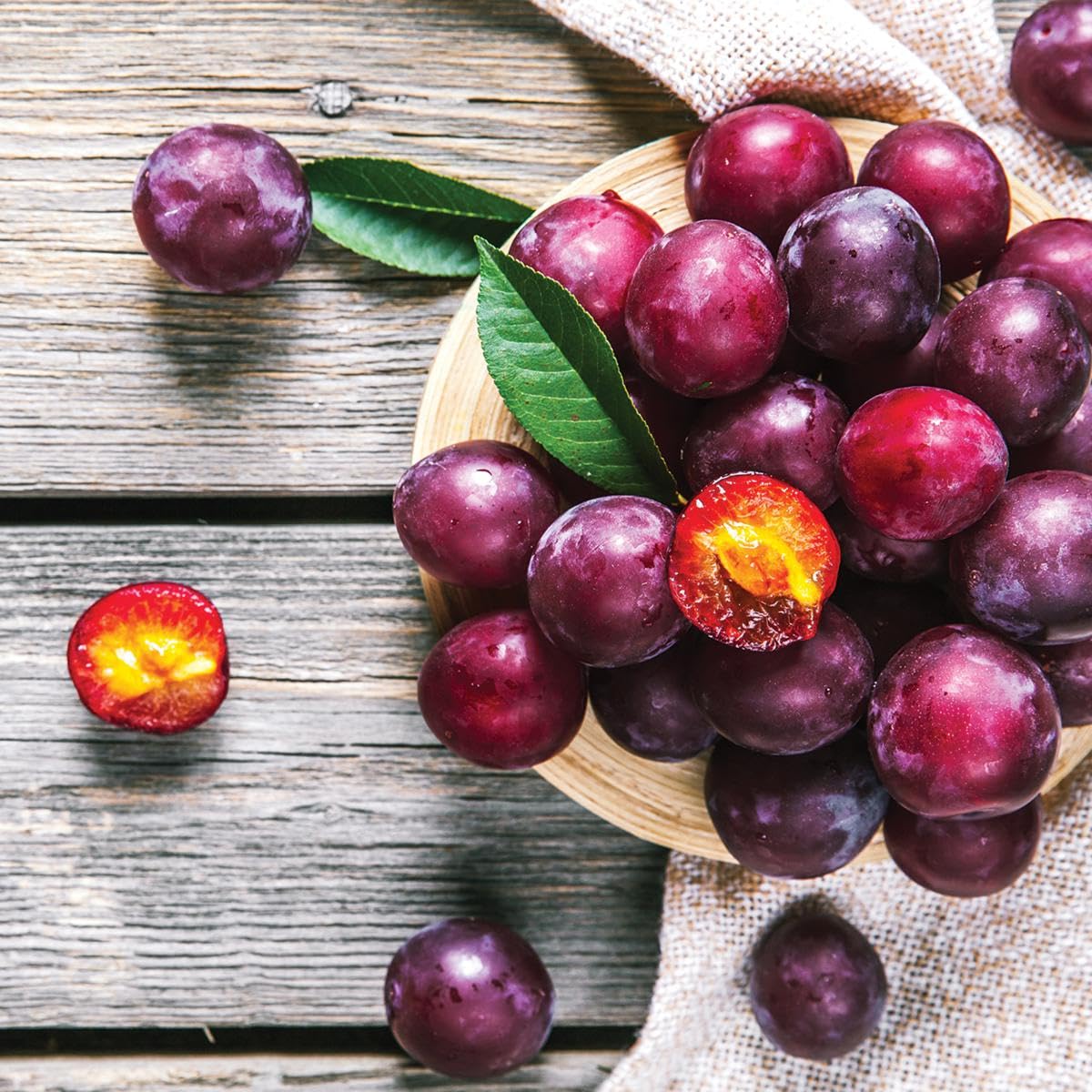 10+ Wild Plum Tree Fruit Seeds for Planting Outdoor-Perennial Native Prunus Americana Non-GMO Fruit Tree Seeds