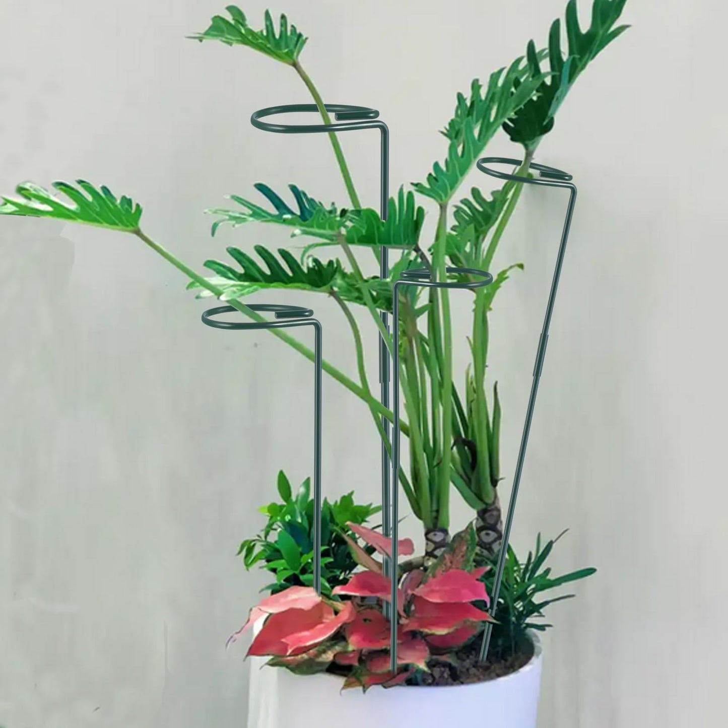 Plant Stake Support - 6 Pack Adjustable Height 12" or 24", Garden Support Stake Plant Cage Support Rings, Single Stem Plant Support Stakes, for Flowers Amaryllis Tomatoes Peony Lily Rose (24inch)