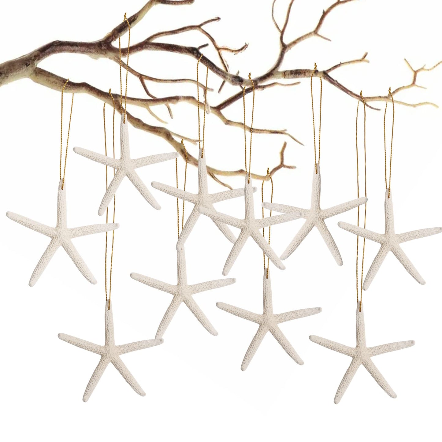 20PCS Christmas Starfish Ornaments Ready to Hang 3"-4'' Natural Starfish Decor with Drilled Holes & Hanging Rope for Christmas Tree Hanging Ornaments, Beach Theme Wedding Home DIY Crafts