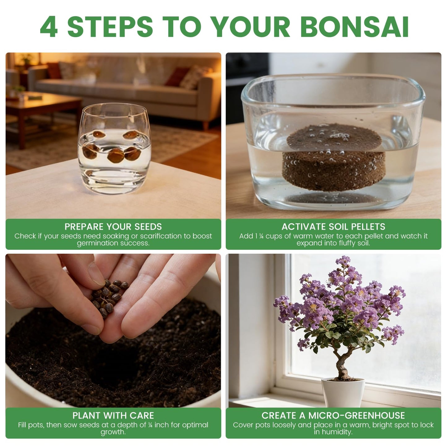 Bonsai Tree Kit for Beginners – 5 Bonsai Starter Kit for Beginner, Indoor for Growing Bonsai Plants with Tools & Planters – DIY Craft Gardening Gifts, White Elephant Gifts for Adults Men Women