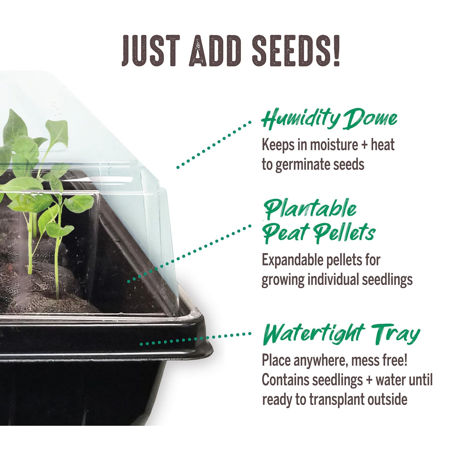 Jiffy Seed Starter Tray Kit - Self-Watering, High Germination Rate, Seedling Tray - 2 Pack, Peat/Plastic