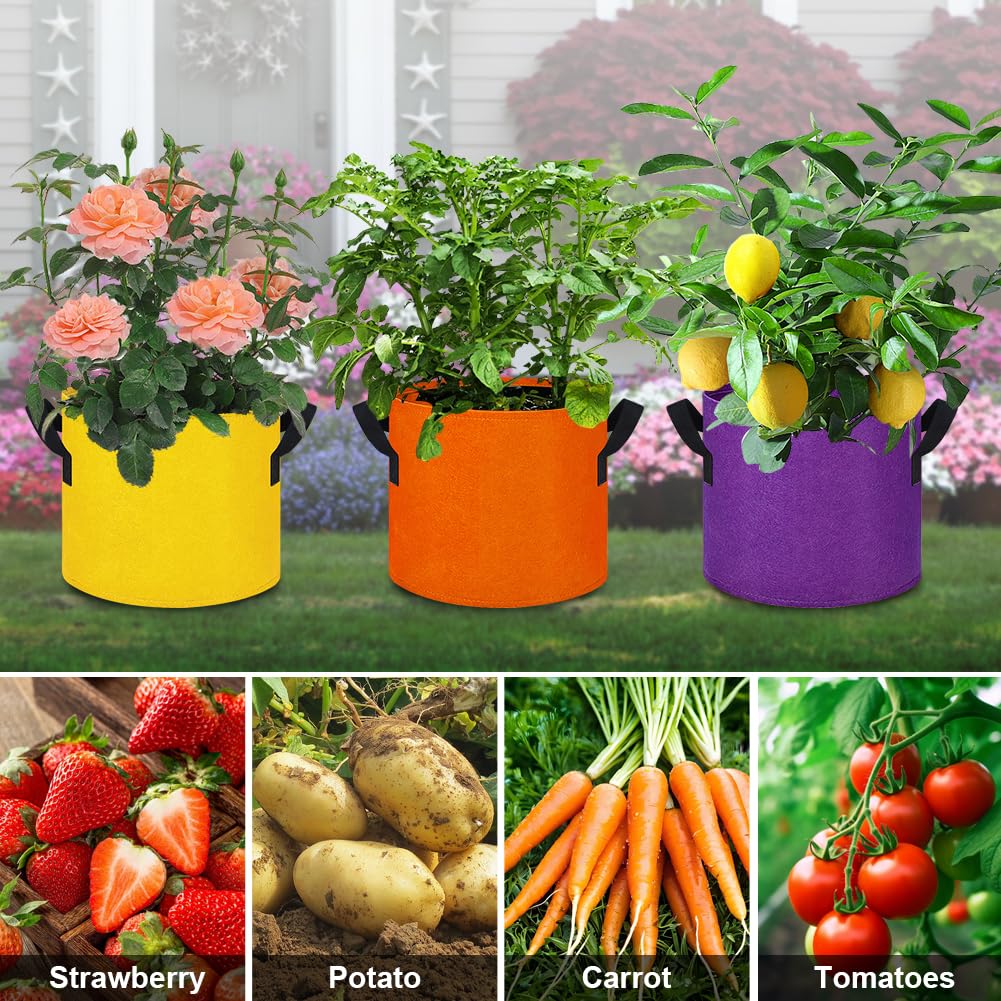 kuchisity 5 Gallon Grow Bags, 12 Pack Multicolor Fabric Plant Pot Bag with Handles Plant Grow Bags for Flowers, Fruits and Vegetables (Blue+Green+Yellow+Orange+Red+Purple)