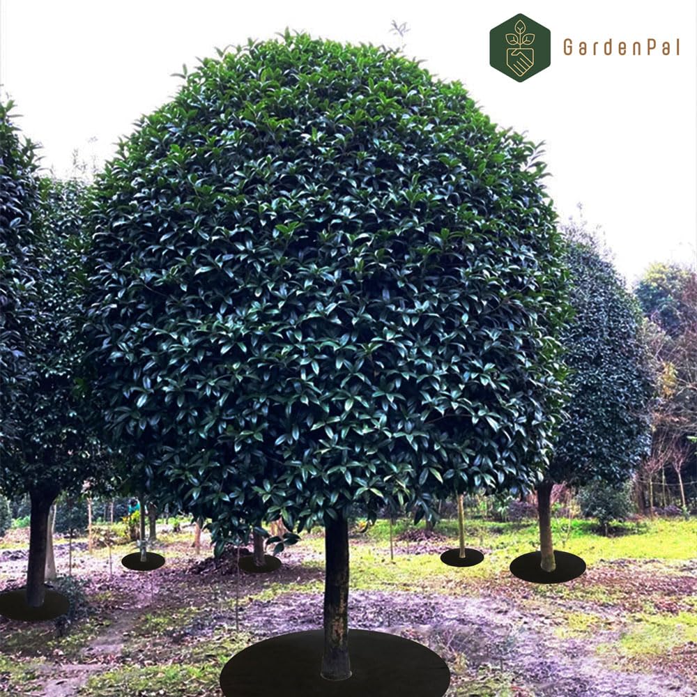 GardenPal 10-Pack 24.4inch Non-Woven Tree Ring, Weed Barrier Fabric, Degradable & Reusable Tree Mulch Ring for Landscaping Weed Control Root Protection, Tree Protector Mat, Reusable Tree Weed Barrier