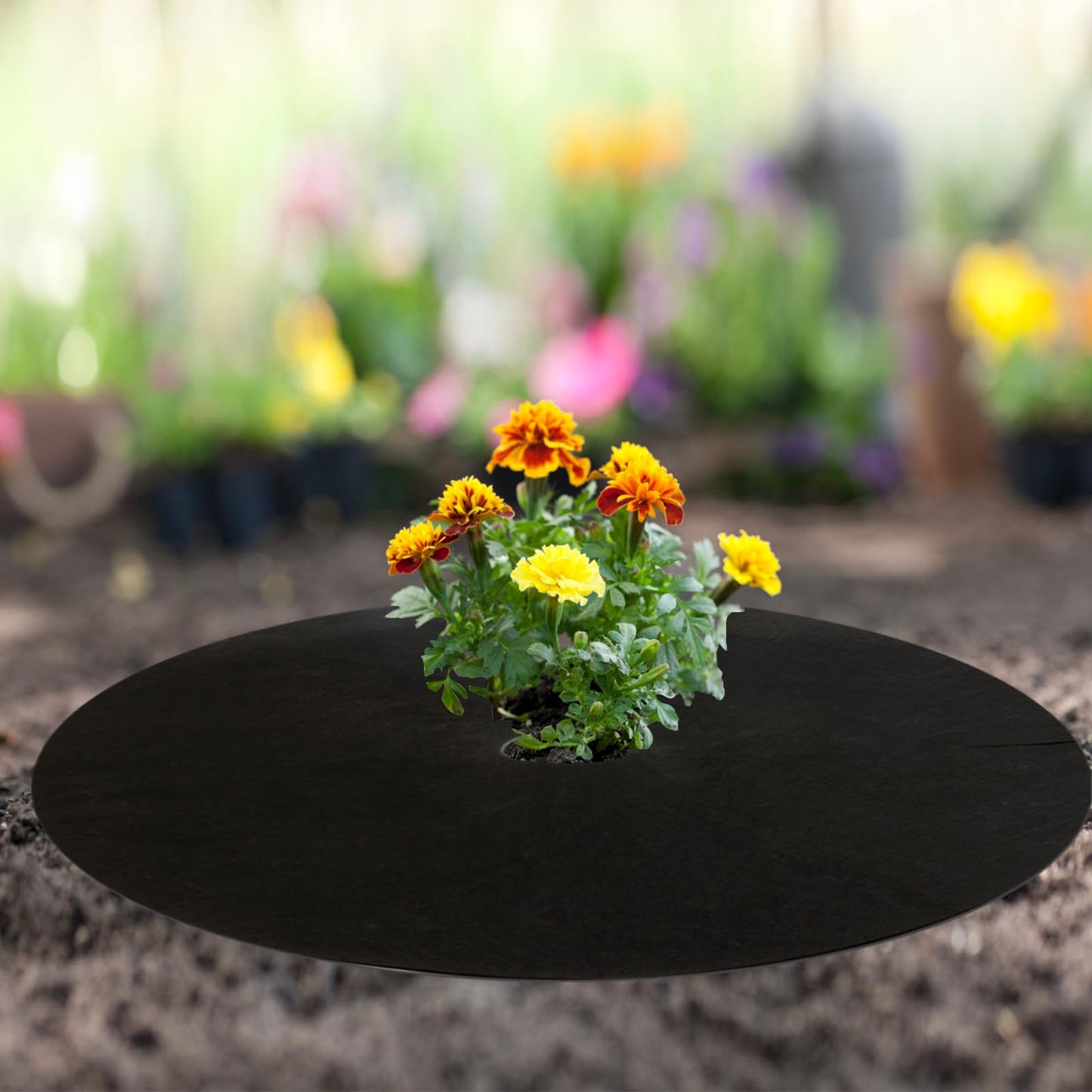Tezhile 8 Pack Non-Woven Tree Mulch Ring 20.5 Inch, Round Mulch Ring Tree Protector Mat with 20 Garden Stakes, Reusable Heavy Duty Weed Barrier Fabric for Weed Control Root Protection