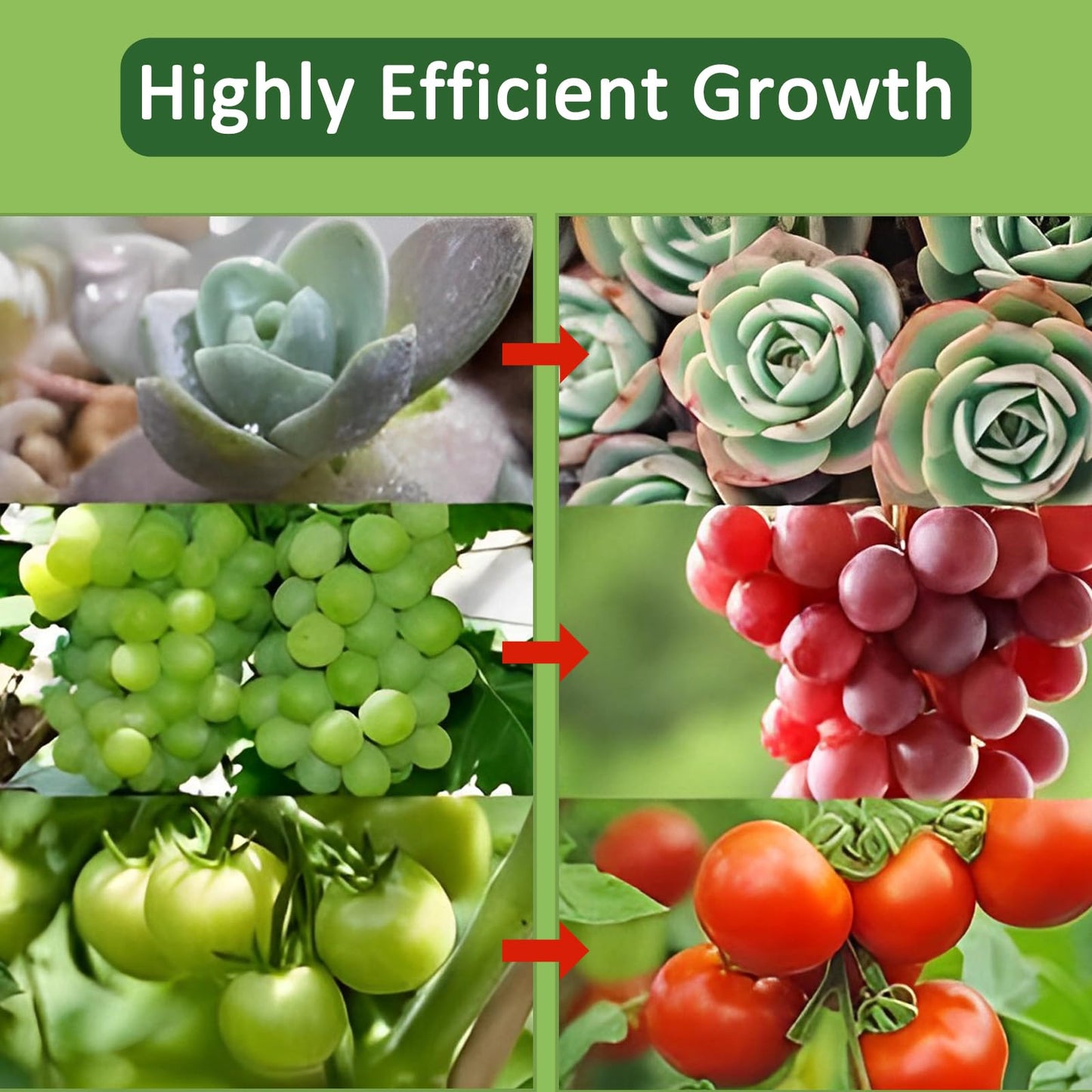 Bufccy Grow Lights for Indoor Plants, 6000K Full Spectrum Grow Light for Succulents, Vegetables Small Plants, Auto On Off Timing, 9 Dimming, 360 Degree Adjustable Plant Lights, 2 Pack
