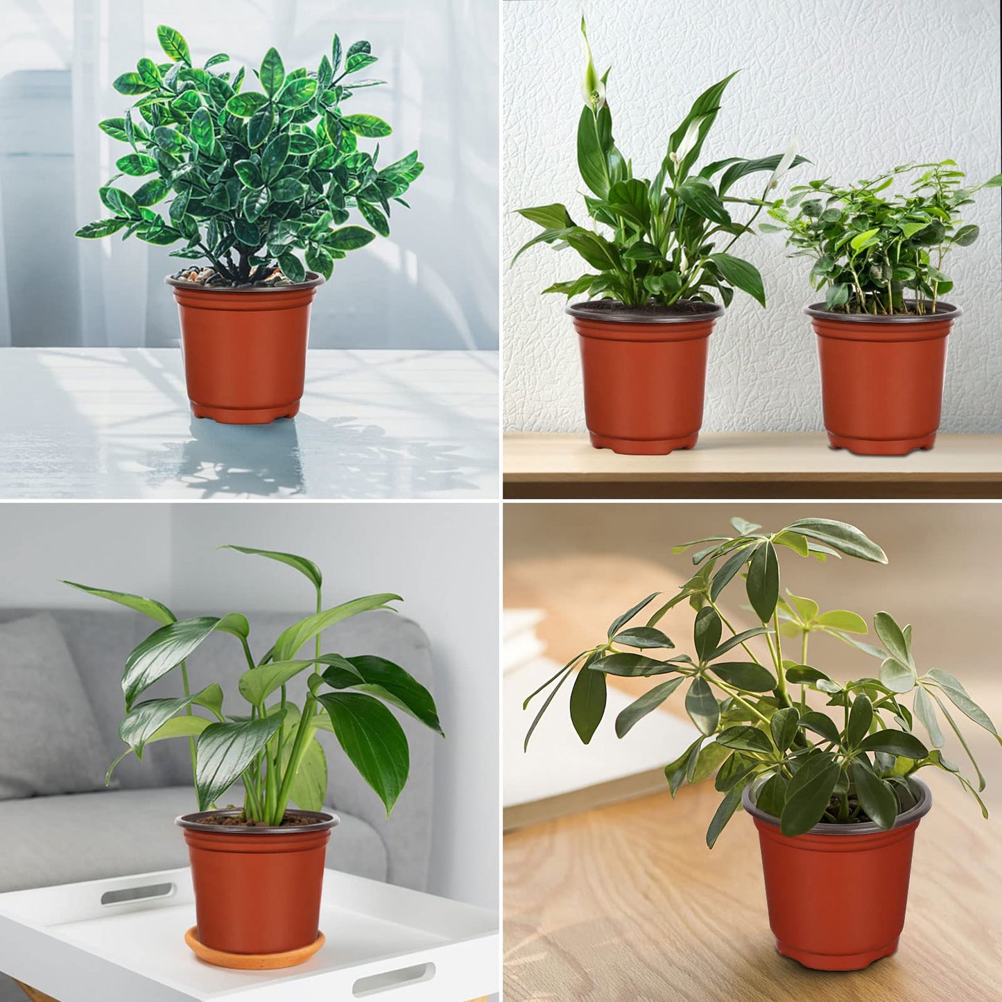 Augshy 40 Pcs 6" Plastic Plant Nursery Seed Starting Pots for Indoor Outdoor Succulent Seedling Cutting Transplanting