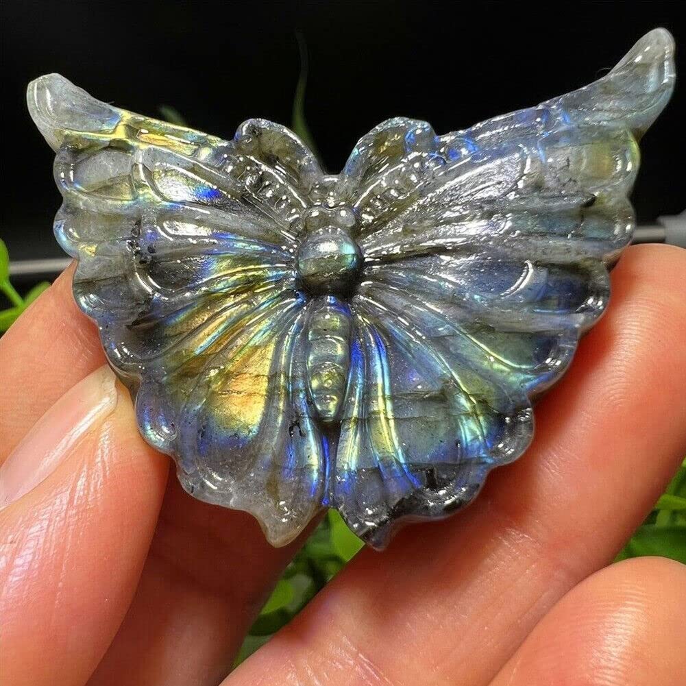 TEAMWILL 2" Natural Labradorite Carved Butterfly Skull Quartz Crystal Healing Reiki