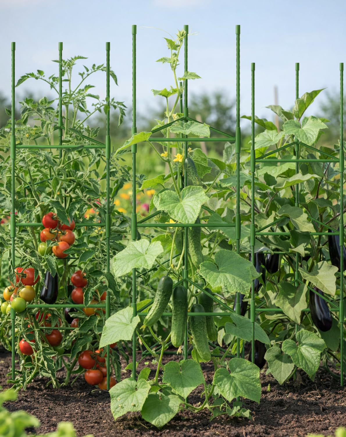 Growsun 51 inch Tomato Cage Heavy-Duty Plant Support Cucumber & Vine Vegetables – Adjustable Green Metal Garden Trellis for Climbing Plants, Indoor & Outdoor Use, 1 Pack