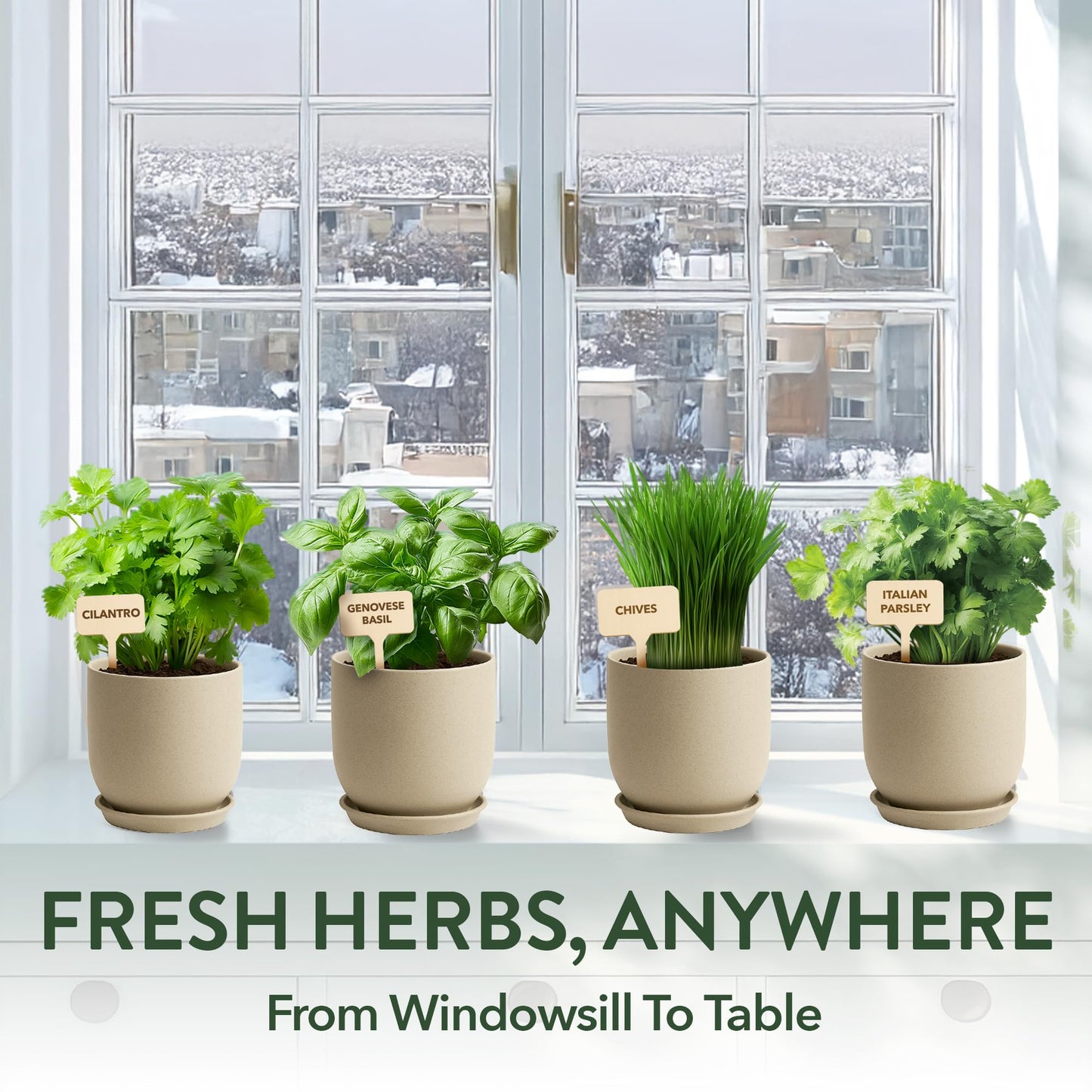 HOME GROWN Indoor Organic Herb Garden Kit, Unique Valentines Day Gift for Adults, Men, & Women,Grow 4 Herb Seeds for Kitchen Window Garden,Beginner DIY Hobby Gardening Gift for Plant Lovers, Mom & Dad