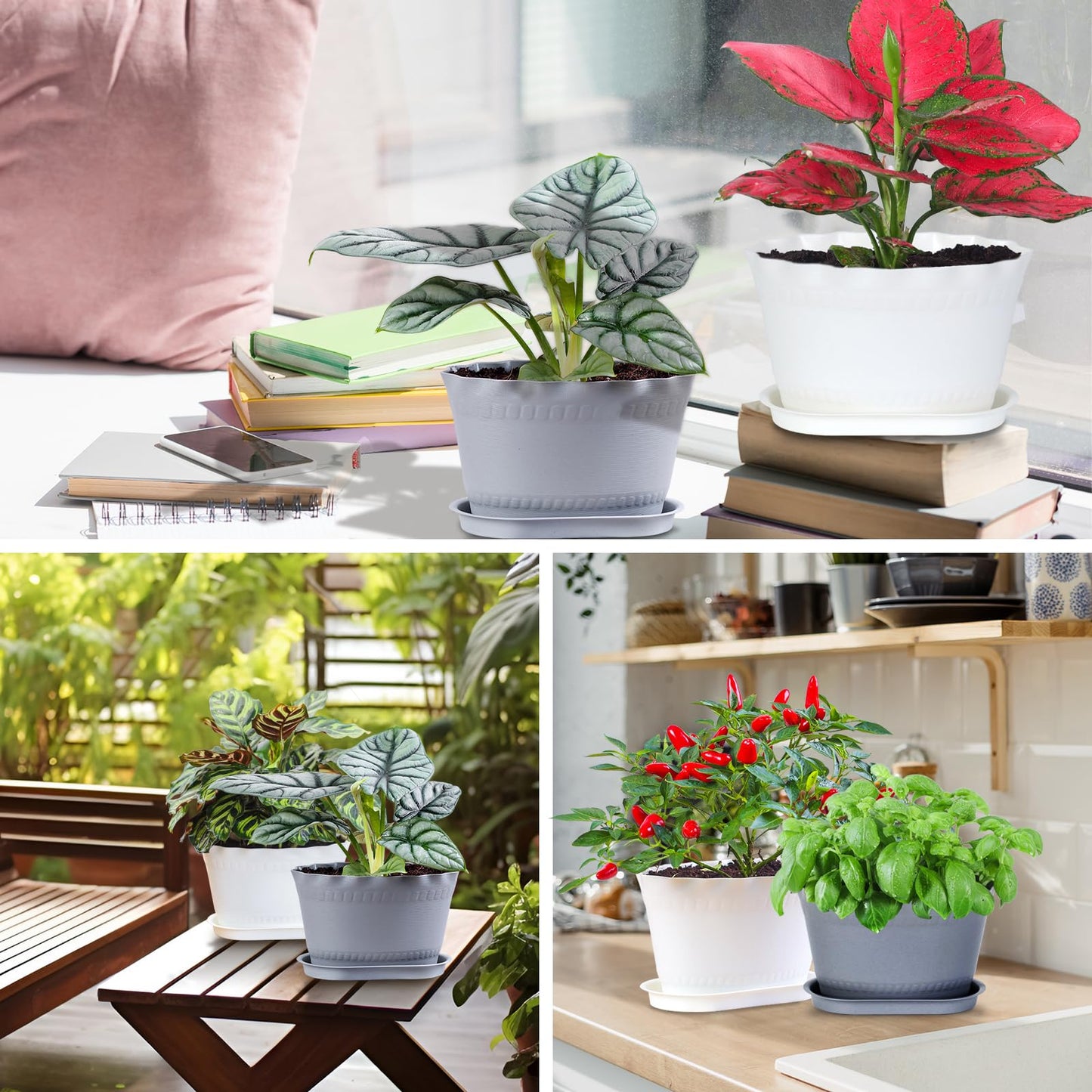 Oliz Herb Planter Pots 6 Pcs, Window Box Planter Flower Plants Pots for Succulent Cactus Flower with Trays, for Home Garden Kitchen Decor (Grey)