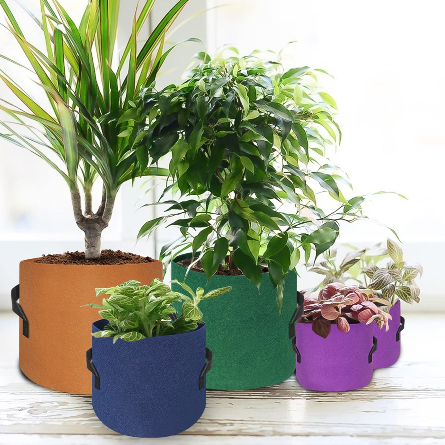 HAOWIN 400G Thickest 7-Pack Colorful Plant Grow Bags, Fabric Pots 10 Gallon 7 Gallon 5 Gallon 3 Gallon Variety Size Pack, Plant Labels Included Potato Growing Bags
