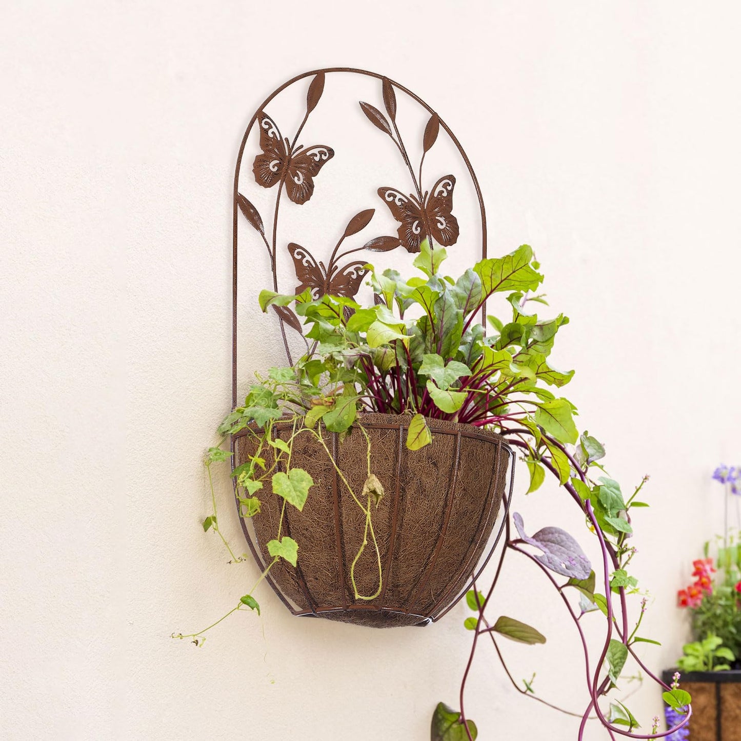 BAYN 2PK Wall Hanging Planter Decor Art with Butterfly, Metal Wall Mounted Planters Indoor Outdoor Wall Planter for Succulent Herb Home Garden Yard