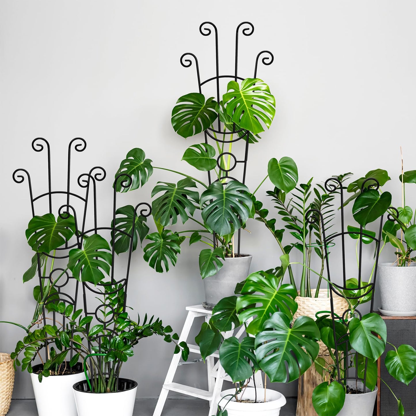 32.6in Monstera Plant Support Stakes for Indoor Plants, Metal Garden Plant Trellis for Climbing Plants, Pothos Vine Snake Climber Support,2p