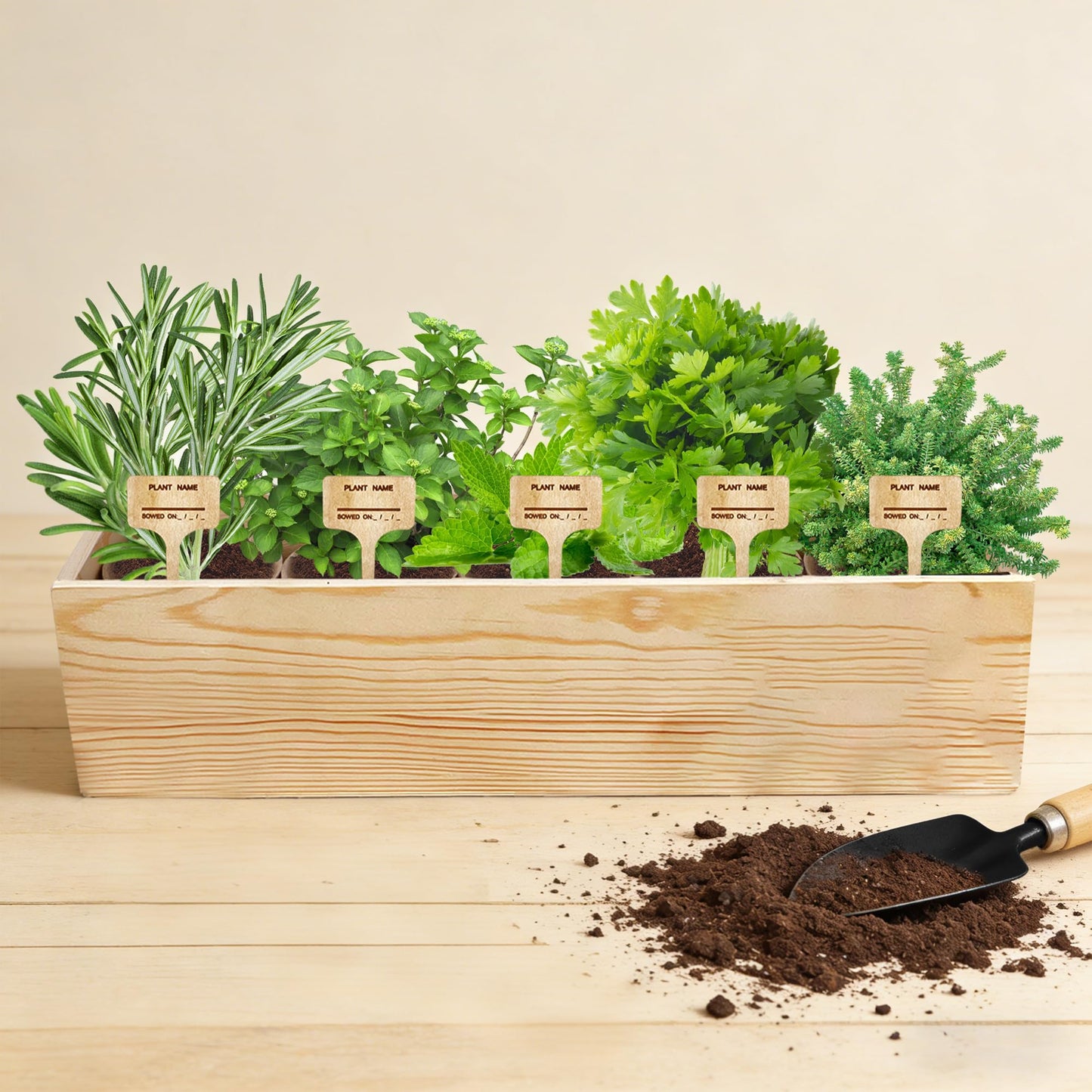 Sproutix Indoor Herb Garden Starter Kit, 5 Seeds Growing into Basil, Parsley, Rosemary, Thyme, Mint, Including A Planter Box, Soil Discs & Planters with A Gift Box for Women