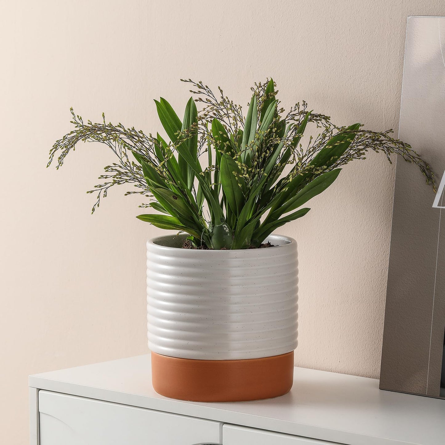 Chubacoo Self Watering Plant Pot : 8 Inch Ceramic Planter with Drainage Hole & Water Storage Plus - Flowerpot for Indoor & Outdoor Plants (Cream White & Red-Brown)