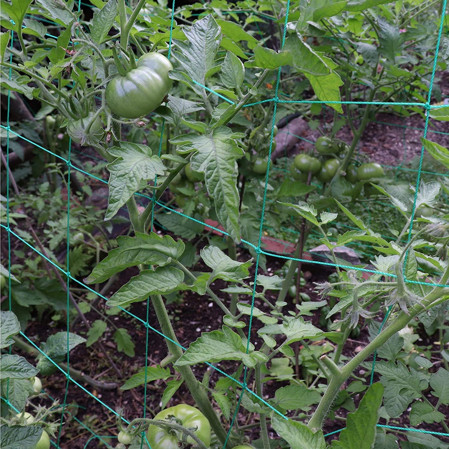 Trellis Netting for Climbing Plants - Heavy Duty Garden Trellis Netting for Cucumber, Vine, Fruits & Vegetables Tomato Plants Trellis Net, Climbing Vining Plants (1-Pack 32.8' x 6.6'Ft)