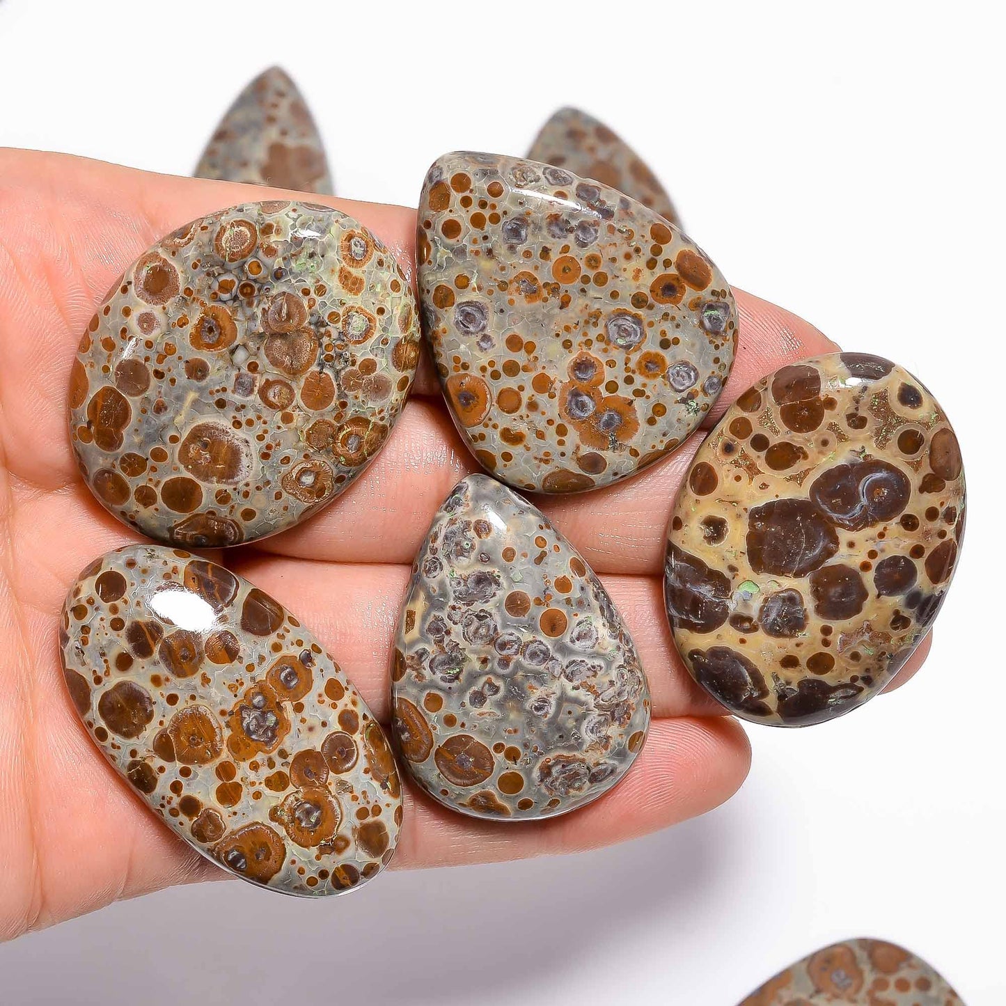 Natural Asteroid Jasper Gemstone- Healing Crystals for DIY Jewelry Making -Loose Natural Cabochon -Perfect for Crafting Unique Jewelry Designs (5 pcs, 25-35 mm)