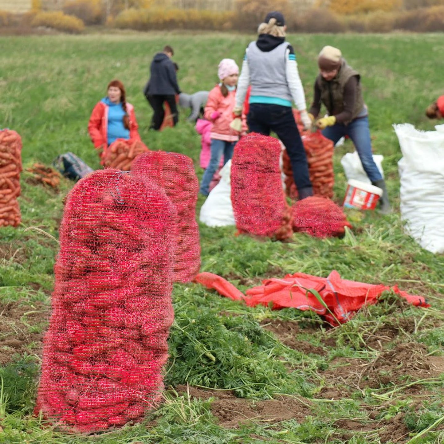 SynHHergyx 50Pcs Extra Large Mesh Produce Bags, 60 lbs Onion Bag 21” x 32” Reusable Washable Breathable Vegetable Storage Net Bags with Drawstring for Firewood Onions Potatoes Carrot Corn Crawfish