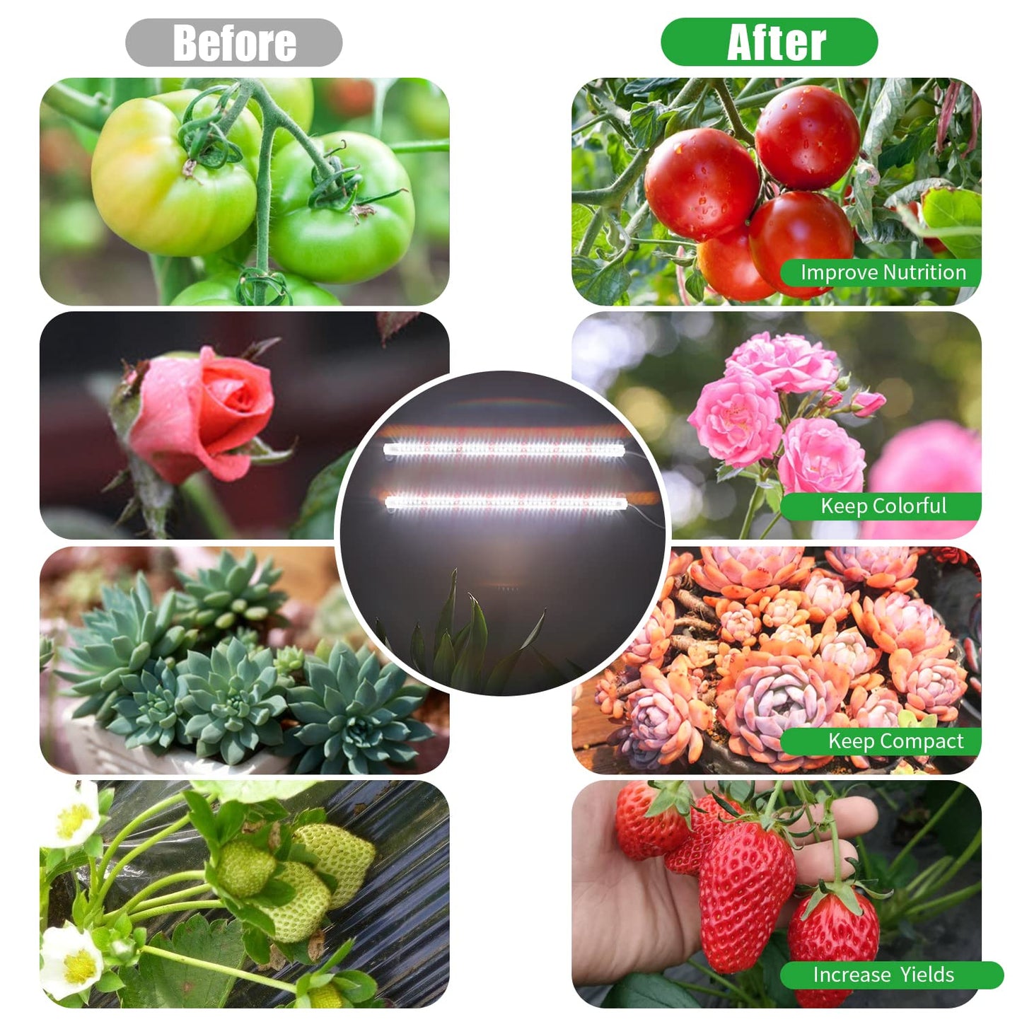 2 Head 13" Growing Lamp for Indoor Plants, Red & White Full Spectrum LED Grow Light Strips with Auto ON/Off, 3/9/12H Timer,10 Dimmable Levels for Green House Seedlings