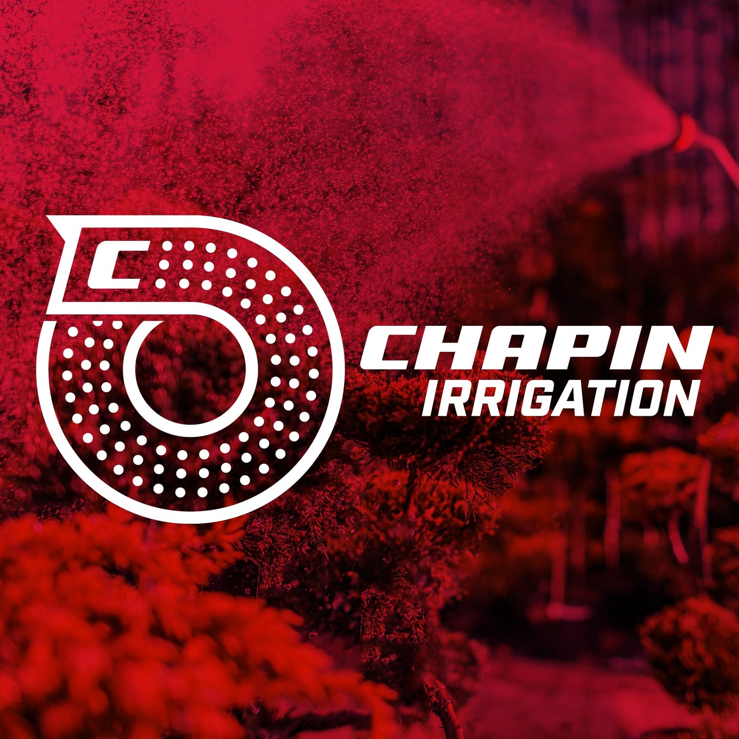 Chapin International Chapin 6-9501: Kink Extension 4 Pack, Fits Standard Garden Hoses and Spigot Faucets, Metal and Plastic Construction, Leak-Free, for Landscaping and Outdoor Use