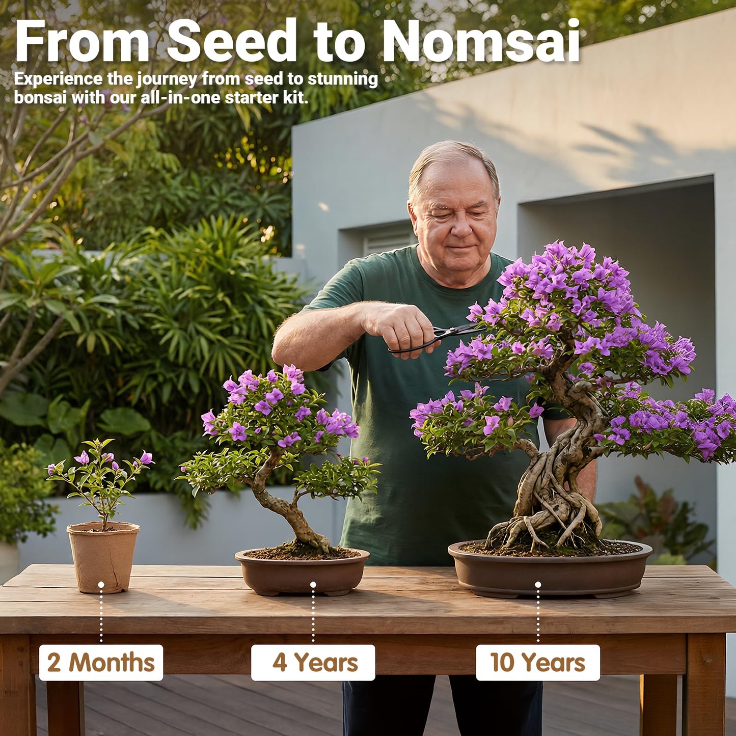 JELHFIP Bonsai Tree Starter Kit for Beginners 5 Unique Indoor Bonsai Trees with Gardening Tools DIY Bonsai Growing Kit Perfect Gifts for Women Men Plant Lovers for Birthday Mothers Day Housewarming