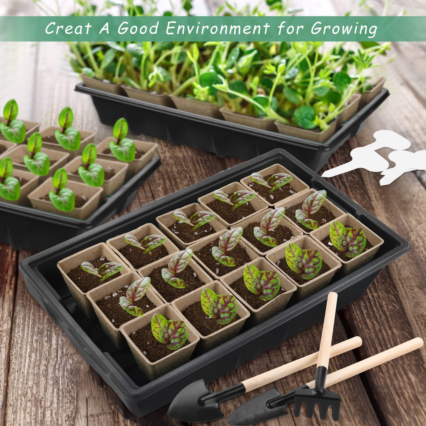 Hahood 4 Pack Seed Starter Tray Kit, 120 Square Seed Peat Pots for Seedlings with Plants Labels, Planting Tools, Plastic Growing Germination Trays with Lids for Indoor Outdoor Gardening, Black