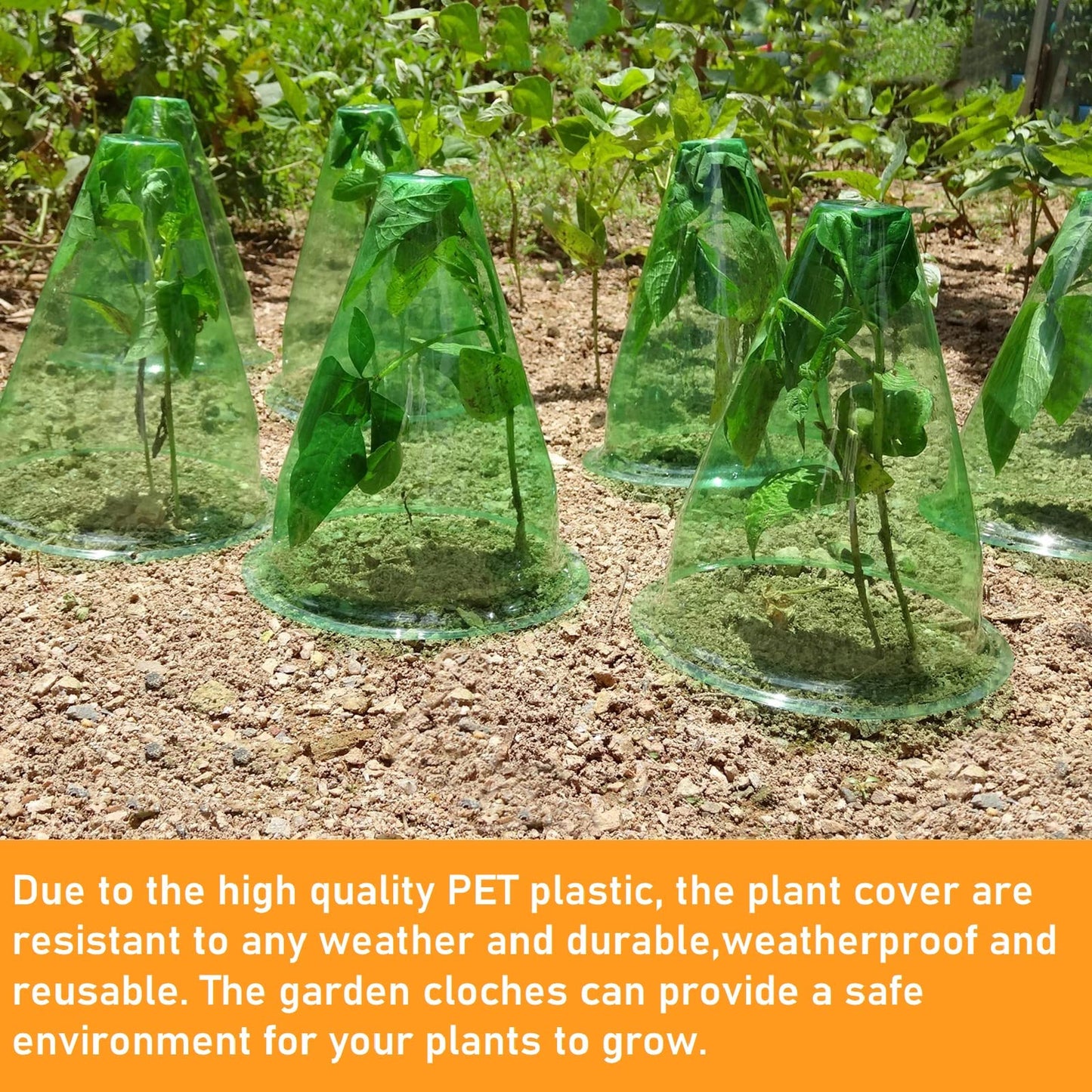 【24 Pieces】 Garden Cloches for Plants, Multifunctional Plant Cover Plant Protectors Transparent Bell Jar Cloches Protection Plants from Birds, Slugs, Frost, Freeze Weather, 7.8" D x 9.4" H, Green