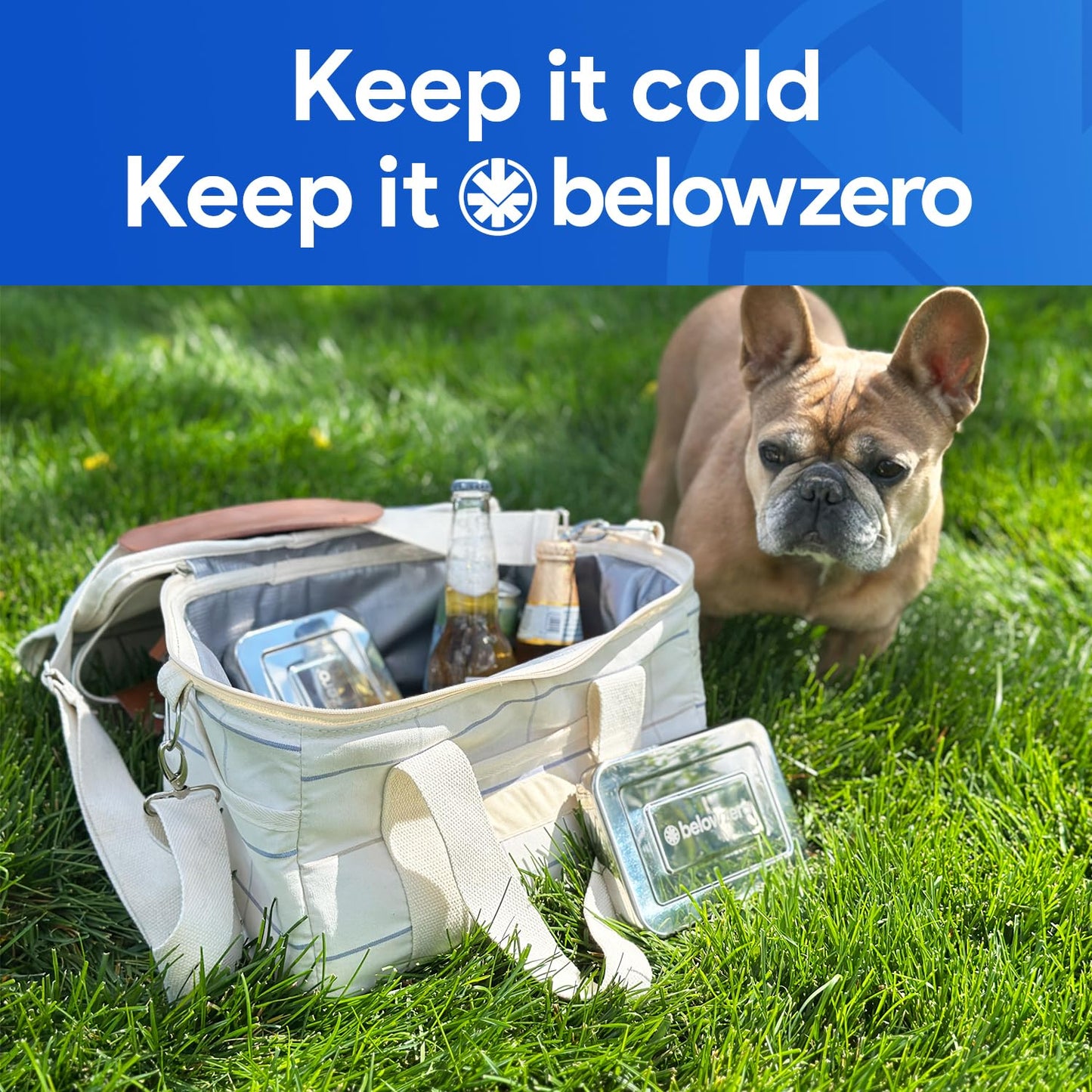 Below Zero Deluxe Stainless Steel Reusable Cooling Pack | Durable Ice Pack Lasts 48 Hours, Ice Pack for Bento, Lunch Bags, Coolers, Picnics, Camping, Beachgoers, Sporting Events | Longest Lasting